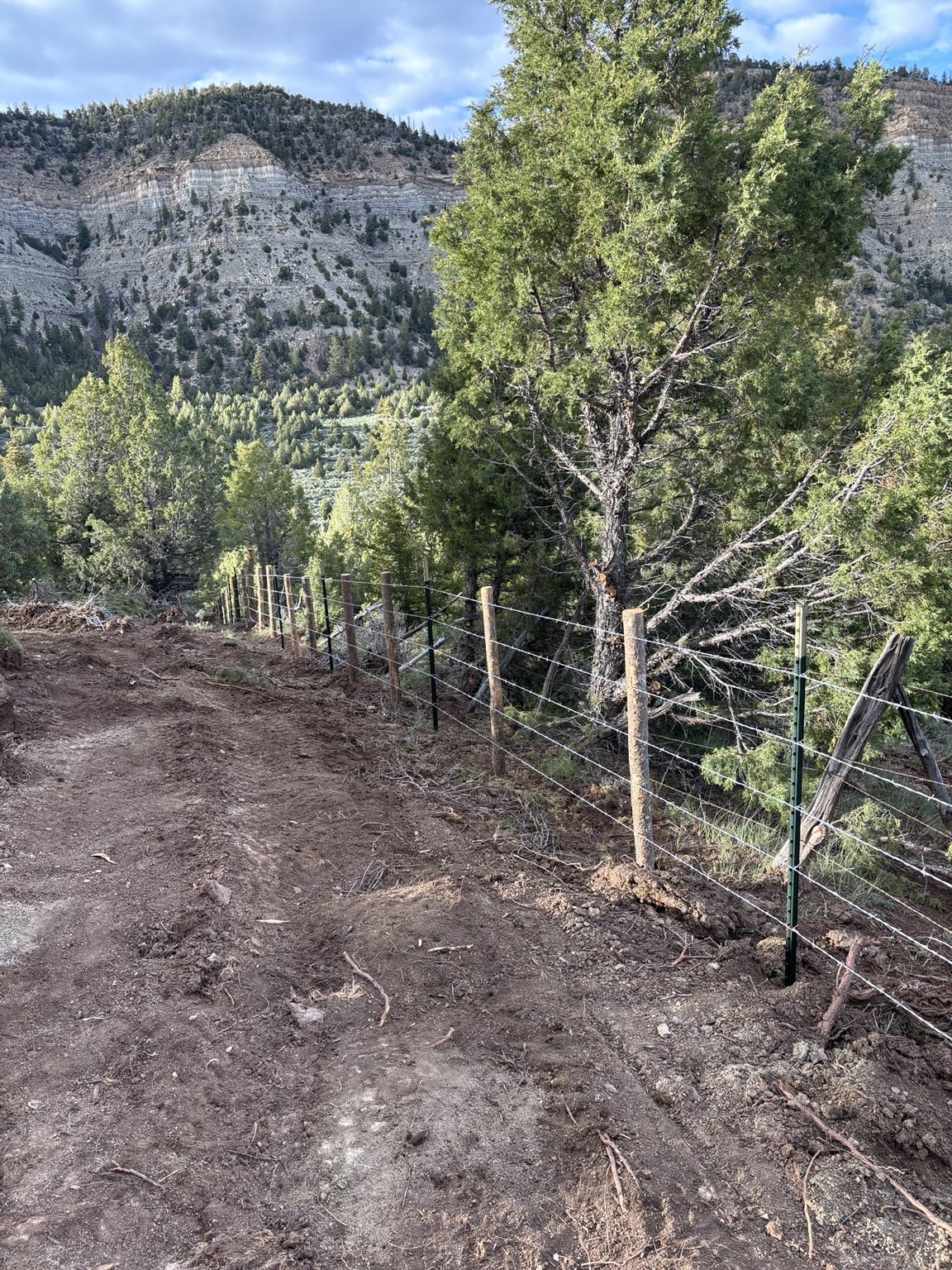 Agricultural fence